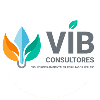 Consultores VIB